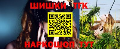 spice Кингисепп
