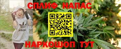 spice Кингисепп