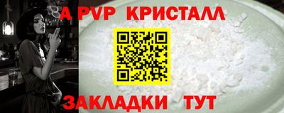 спиды Кимры