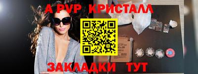 spice Кингисепп
