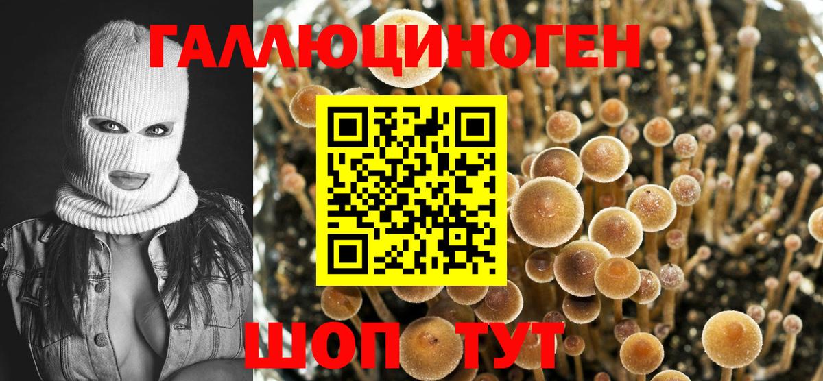 Псилоцибиновые грибы прущие грибы  Вход с VPN  Киреевск 